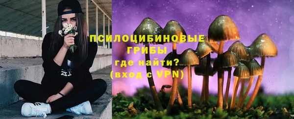 круглые Горно-Алтайск