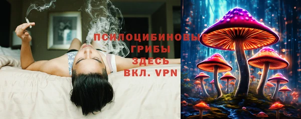 apvp Горнозаводск