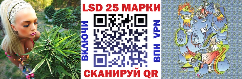 Наркотические марки 1,8мг  KRAKEN зеркало  Ядрин 